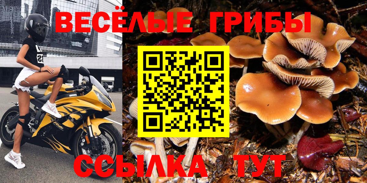 Галлюциногенные грибы прущие грибы  где купить наркотик  Галлюциногенные грибы мухоморы  Бузулук  Вход с VPN 